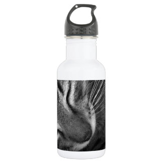 Sleeping Kitten 532 Ml Water Bottle