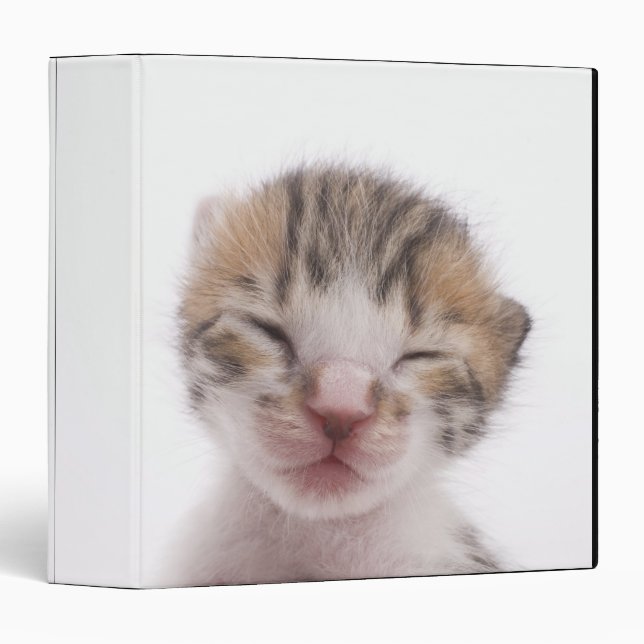 Sleeping kitten binder (Front/Spine)