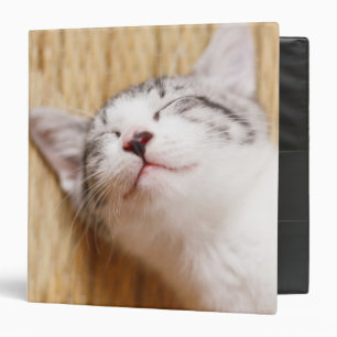 Sleeping Kitten Binder