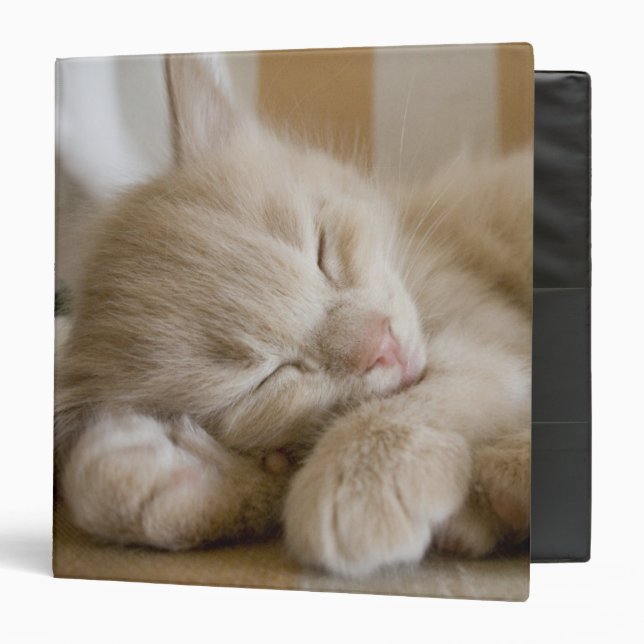 Sleeping Kitten Binder (Front/Inside)