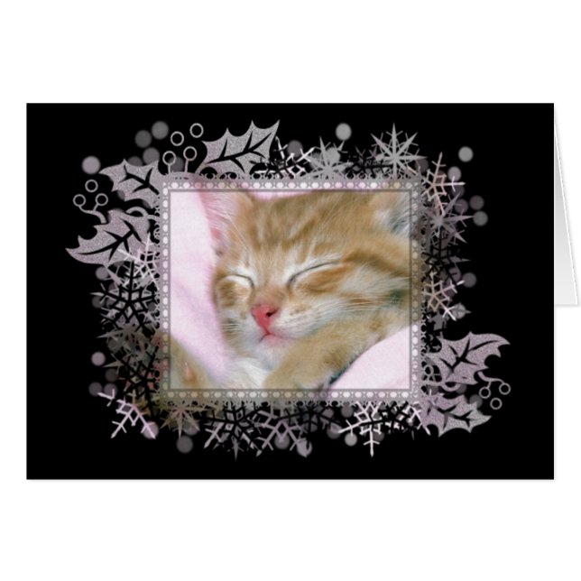Sleeping Kitten Blank Greeting Card (Front Horizontal)