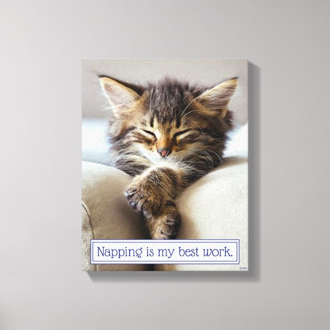 Sleeping Kitten Canvas Print (Front)