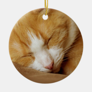 Sleeping Kitten Ceramic Ornament