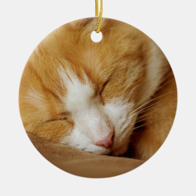 Sleeping Kitten Ceramic Ornament (Front)