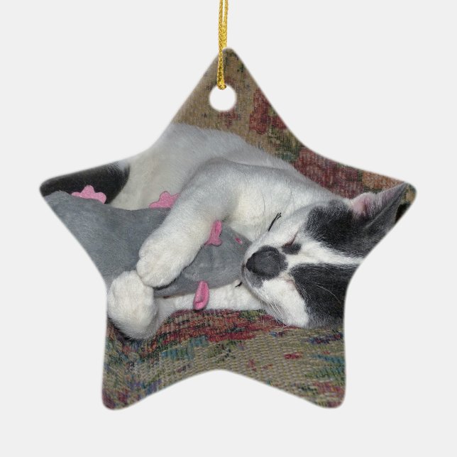Sleeping Kitten Ceramic Ornament (Front)