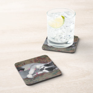 Sleeping Kitten Coaster