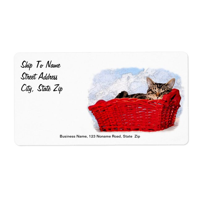 Sleeping Kitten In Bright Red Basket (Front)