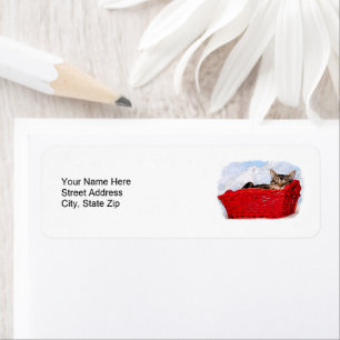 Sleeping Kitten In Bright Red Basket Personalized
