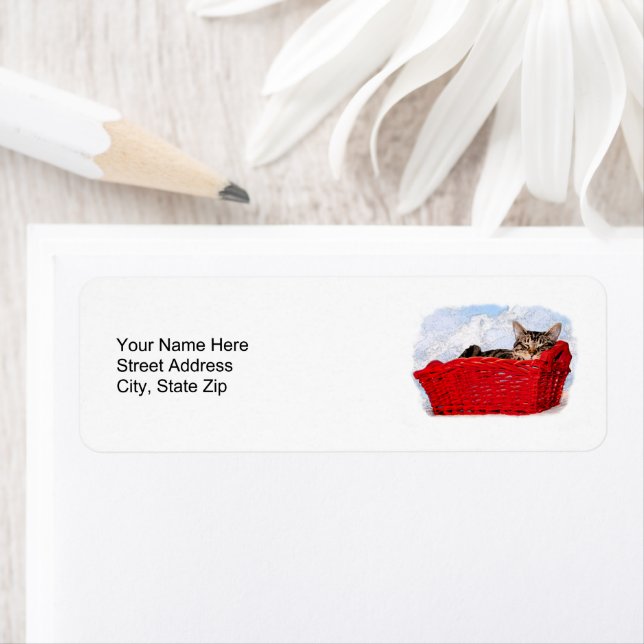 Sleeping Kitten In Bright Red Basket Personalized (Insitu)