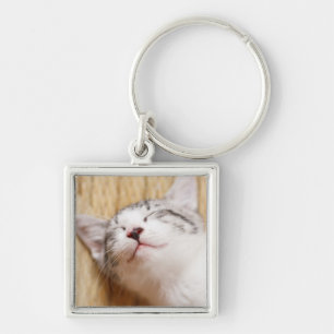 Sleeping Kitten Keychain