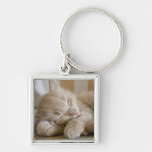 Sleeping Kitten Keychain