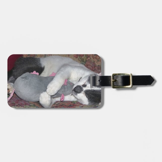 Sleeping Kitten Luggage Tag (Front Horizontal)