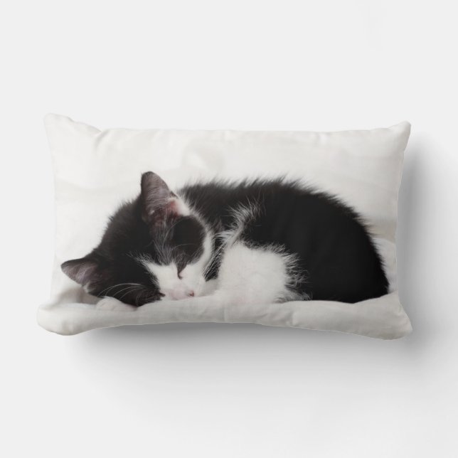 Sleeping Kitten Lumbar Pillow (Front)