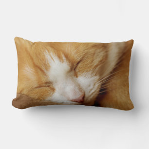 Sleeping Kitten Lumbar Pillow