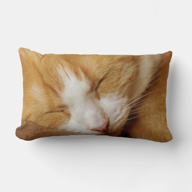 Sleeping Kitten Lumbar Pillow (Front)