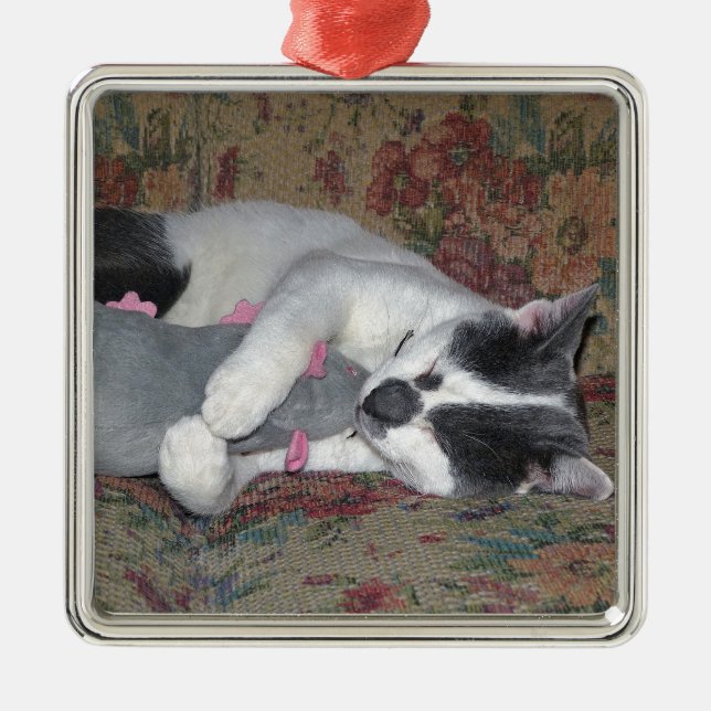 Sleeping Kitten Metal Ornament (Front)