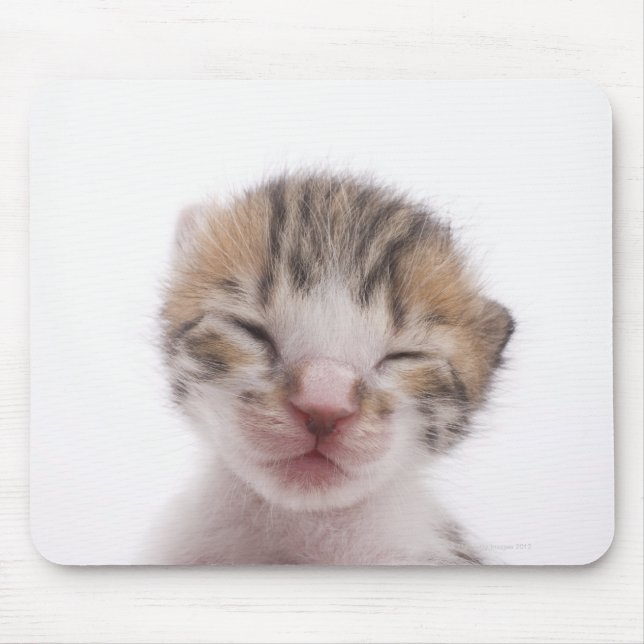 Sleeping kitten mouse pad (Front)