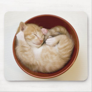 Sleeping Kitten Mouse Pad