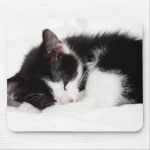 Sleeping Kitten Mouse Pad