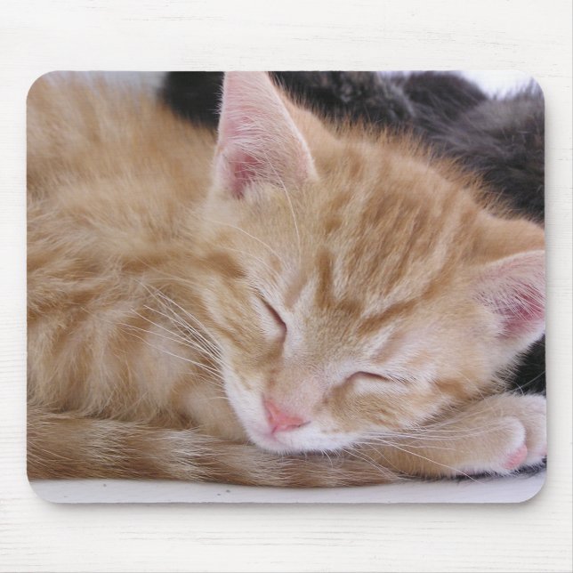 Sleeping Kitten Mouse Pad (Front)