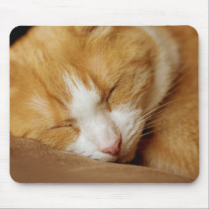 Sleeping Kitten Mouse Pad