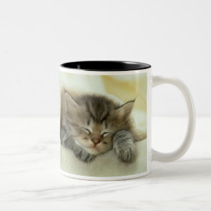 Sleeping Kitten Mug