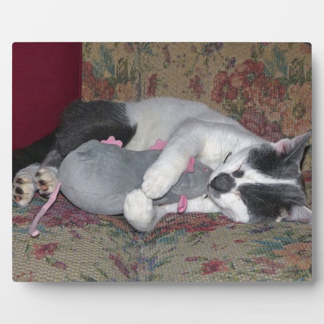 Sleeping Kitten Plaque (Front)