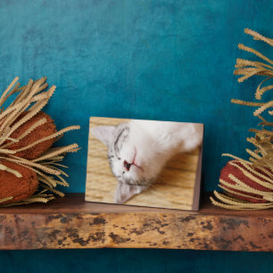 Sleeping Kitten Plaque