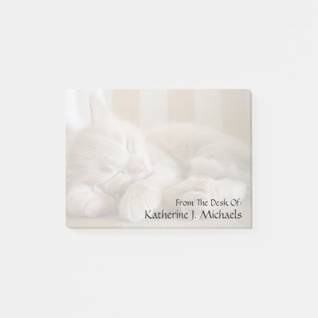 Sleeping Kitten Post-it Notes (Front)