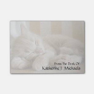 Sleeping Kitten Post-it Notes
