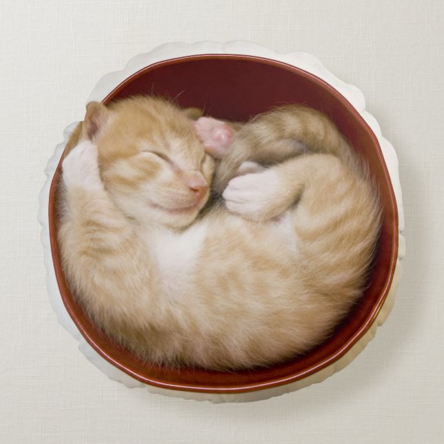 Sleeping Kitten Round Pillow (Front)