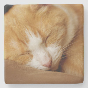 Sleeping Kitten Stone Coaster