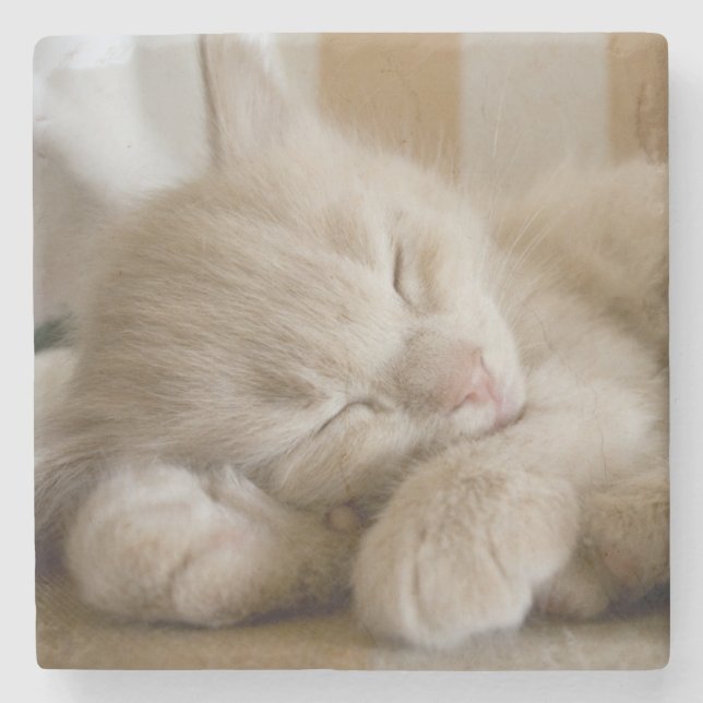 Sleeping Kitten Stone Coaster (Front)