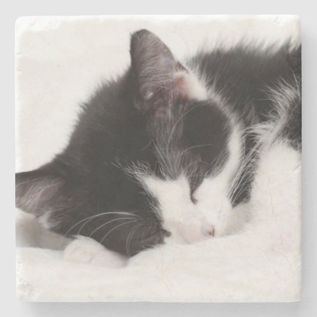 Sleeping Kitten Stone Coaster (Front)