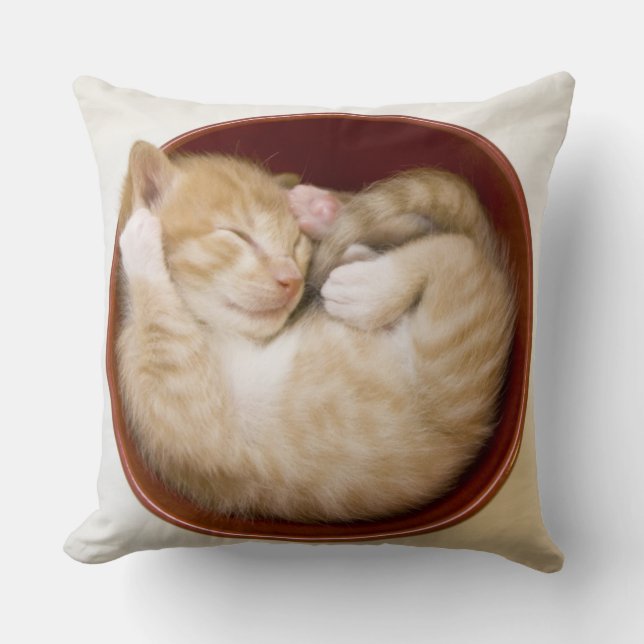 Sleeping Kitten Throw Pillow (Front)