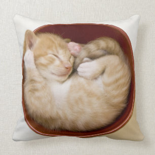 Sleeping Kitten Throw Pillow