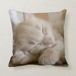 Sleeping Kitten Throw Pillow