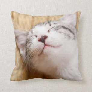 Sleeping Kitten Throw Pillow