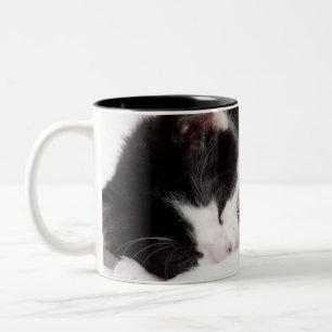 Sleeping Kitten Two-Tone Coffee Mug