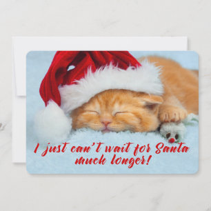 Sleeping Kitten with Santa Hat Two Sided Card