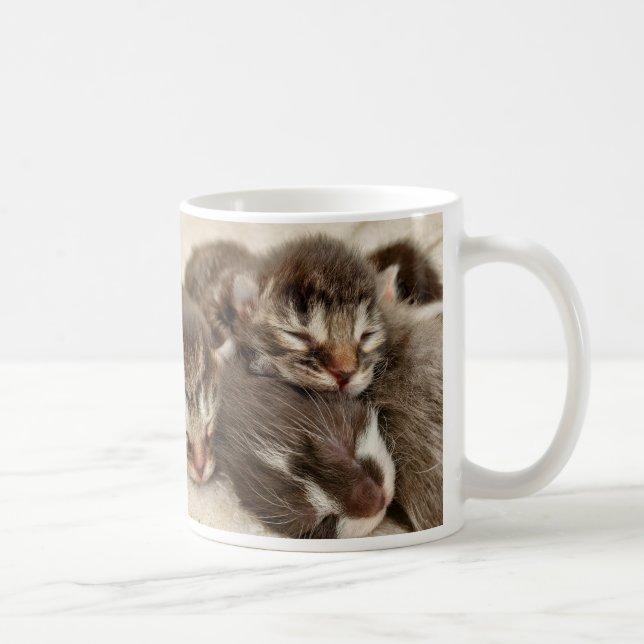 Sleeping kittens  coffee mug (Right)
