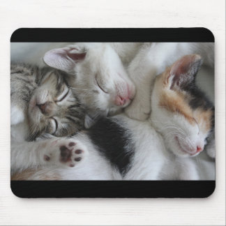 Sleeping Kittens Mouse Pad