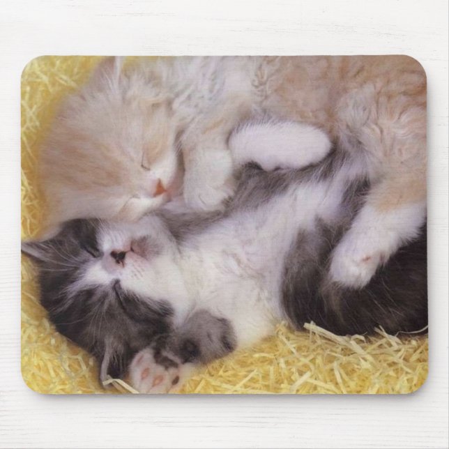 Sleeping Kittens Mouse Pad (Front)