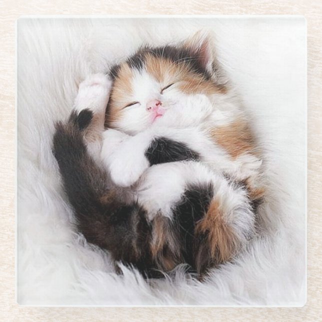 Sleeping Kitty Cat Coaster (Front)