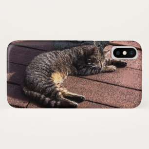 Sleeping Kitty Cat On Porch Case-Mate iPhone Case