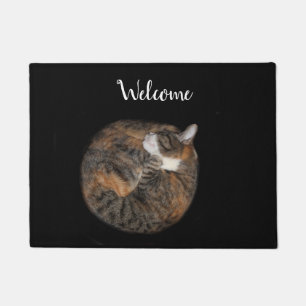 Sleeping kitty doormat