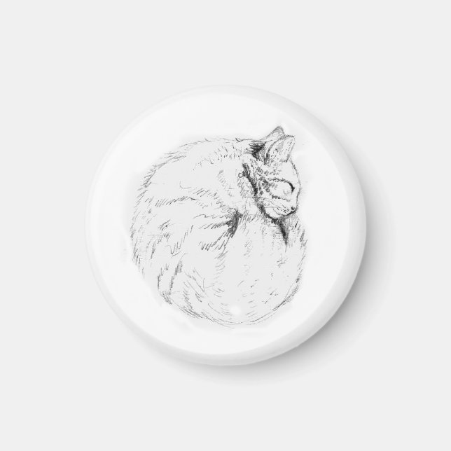 Sleeping Kitty Magnet (Front)