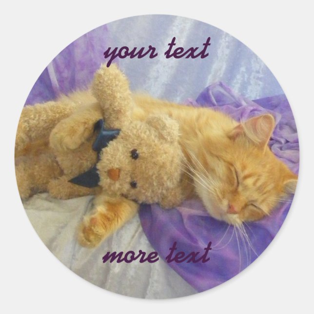 Sleeping Kitty Stickers (Front)