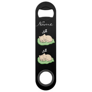 Sleeping Kitty Thunder_Cove Bar Key