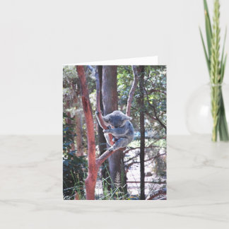 Sleeping Koala Bear ~ Notecard